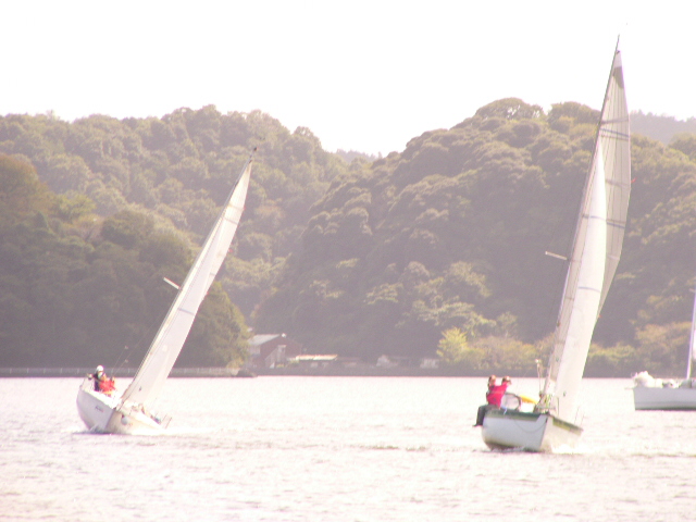 2006amede1_280.JPG