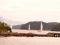 20081012_189_s.jpg