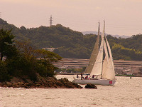 20081012_192_s.jpg