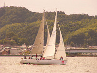 20081012_193_s.jpg
