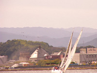 20081012_197_s.jpg