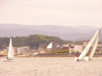 20081012_199_s.jpg