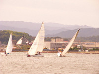20081012_200_s.jpg