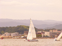 20081012_201_s.jpg
