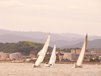 20081012_202_s.jpg