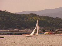 20081012_203_s.jpg