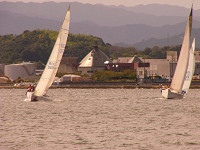 20081012_204_s.jpg
