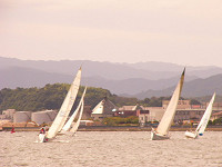 20081012_205_s.jpg