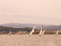 20081012_207_s.jpg