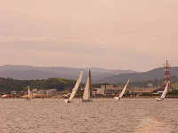 20081012_209_s.jpg