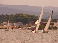 20081012_210_s.jpg