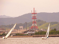 20081012_211_s.jpg