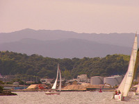 20081012_214_s.jpg
