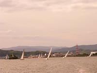 20081012_217_s.jpg