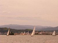 20081012_221_s.jpg