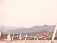 20081012_224_s.jpg