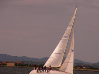 20081012_229_s.jpg