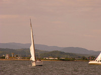 20081012_233_s.jpg