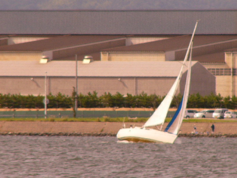 20081012_236.jpg