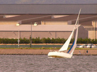 20081012_236_s.jpg