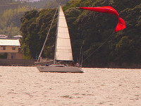 20081012_238_s.jpg