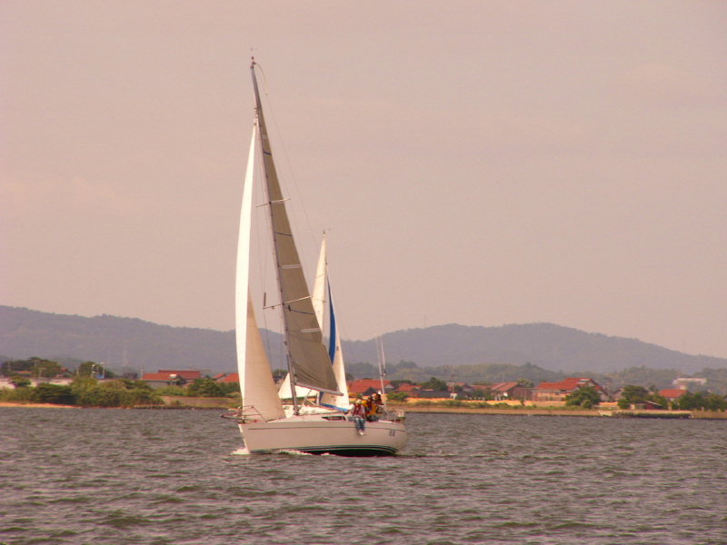 20081012_240.jpg