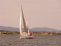 20081012_240_s.jpg