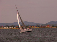 20081012_246_s.jpg