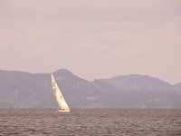 20081012_248_s.jpg