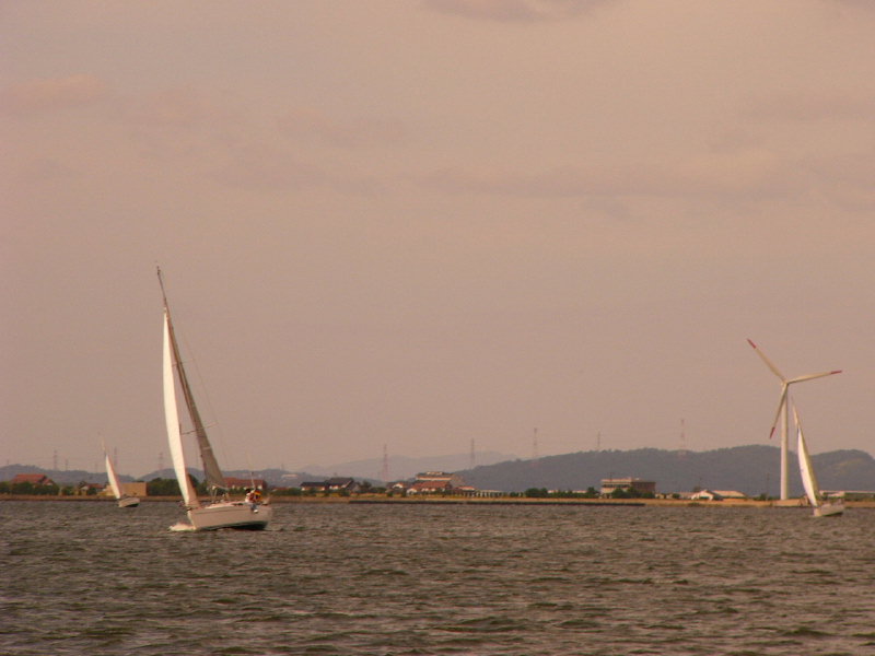 20081012_250.jpg