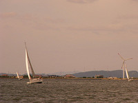 20081012_250_s.jpg
