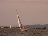 20081012_253_s.jpg