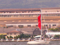 20081012_256_s.jpg