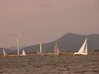 20081012_263_s.jpg
