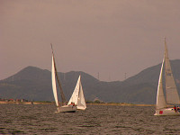 20081012_264_s.jpg
