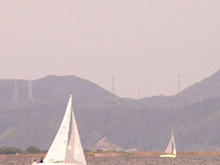 20081012_267_s.jpg