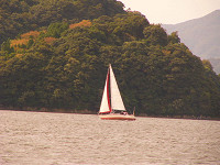 20081012_270_s.jpg