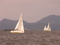 20081012_275_s.jpg