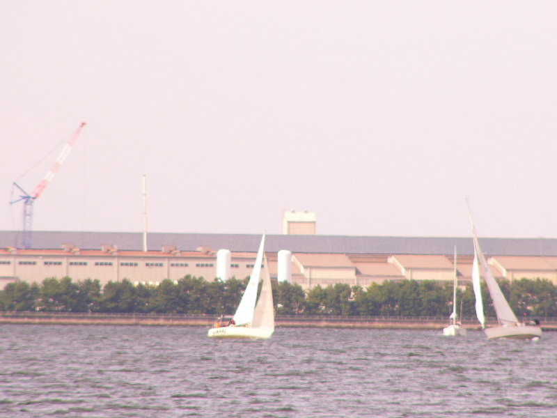 20081012_285.jpg