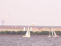 20081012_285_s.jpg