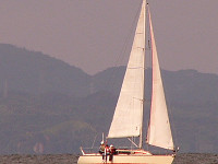 20081012_289_s.jpg
