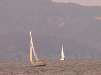 20081012_290_s.jpg