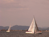 20081012_294_s.jpg