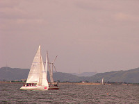 20081012_295_s.jpg
