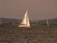 20081012_296_s.jpg