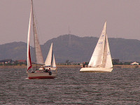 20081012_298_s.jpg