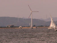 20081012_300_s.jpg