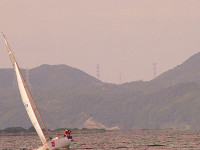 20081012_303_s.jpg