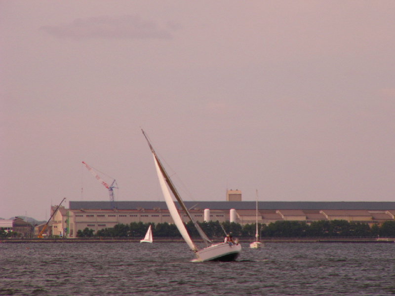 20081012_305.jpg