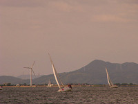 20081012_307_s.jpg